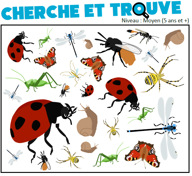 cherche et trouve - miniature